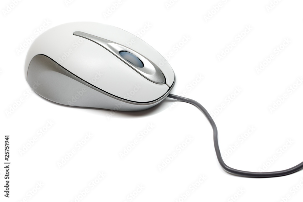 Contemporary white with silver mouse isolated on white. Contemporary white with silver mouse isolated on white.