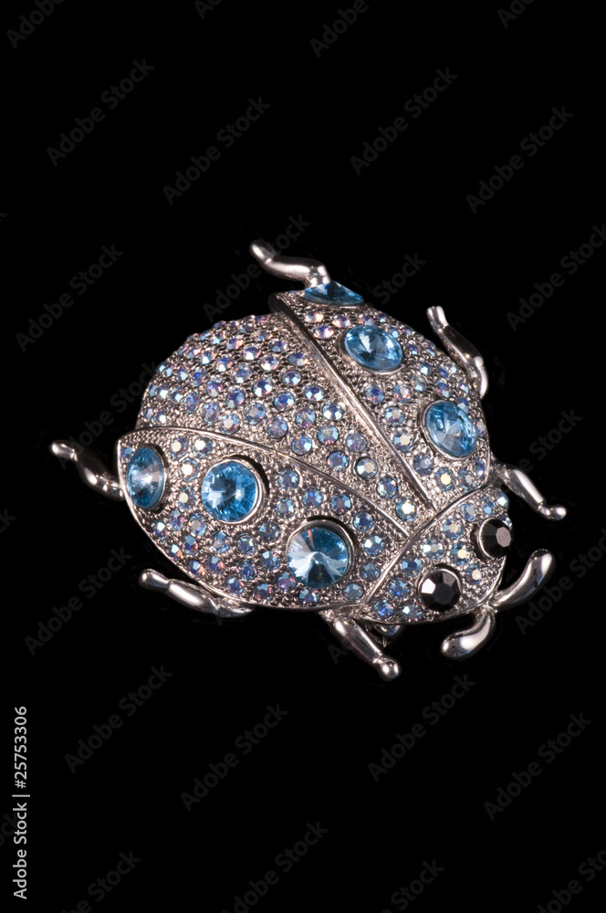 vintage beetle bug brooch