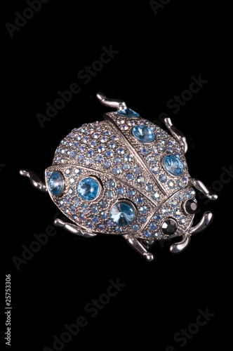 Obraz na płótnie vintage beetle bug brooch w salonie