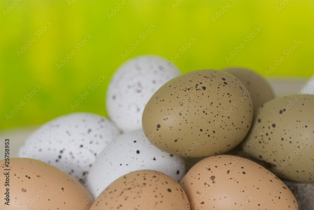 Eier Eier