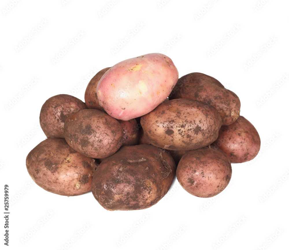 handful of young potato. One potato clean, others dirty. handful of young potato. One potato clean, others dirty.