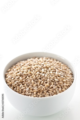 pearl barley