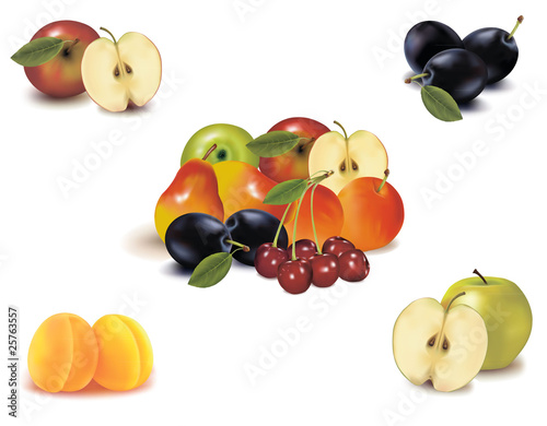 Photo-realistic vector. Big group of different fruit.