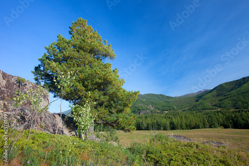 Altai mountains. Beautiful ...