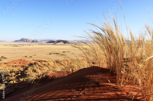 Panorama de la dune Elim - désert du Namib photo