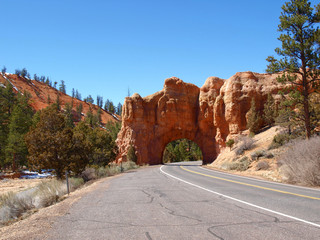 Acrylglasbilder Route 66 Red Canyon  © Sarah Hofmann