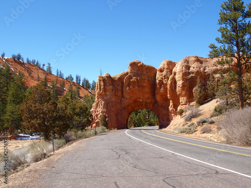 Red Canyon