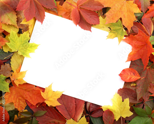 Colourful autumn frame