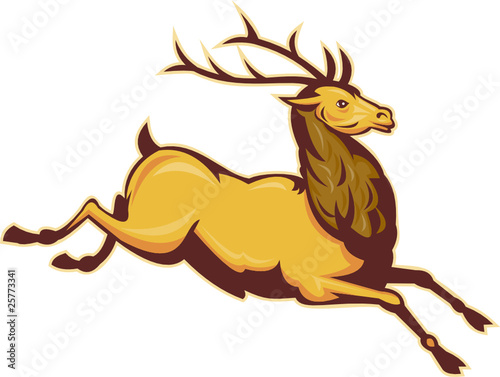 stag buck deer jumping © patrimonio designs