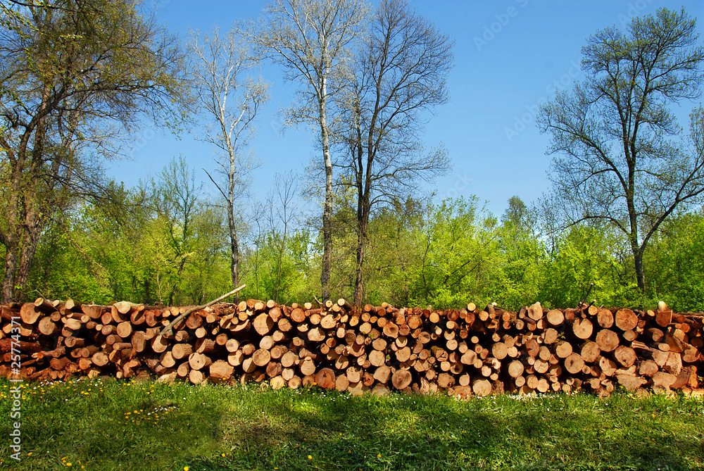 Firewood pile outdoor