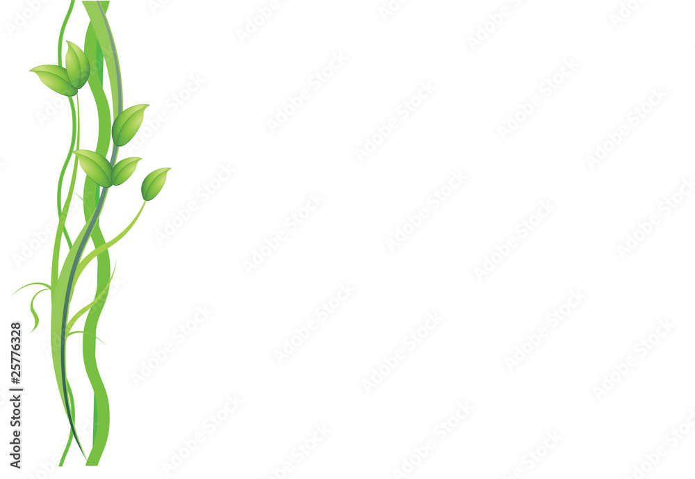 plant on white background plant on white background