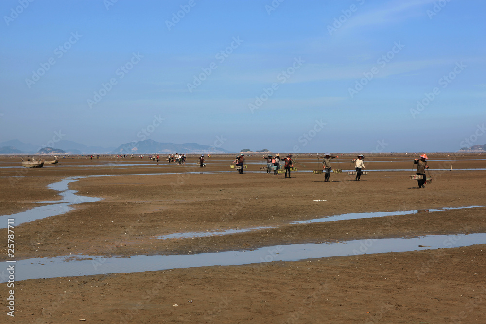 Obraz premium 滩涂风光