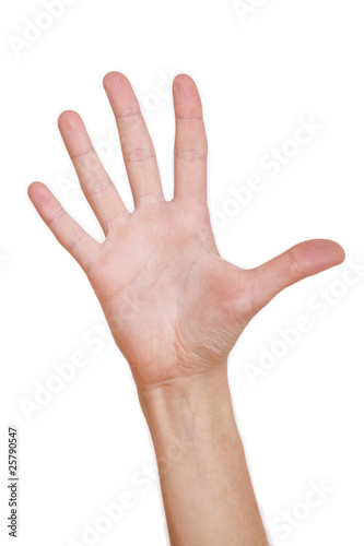 isolated female hand