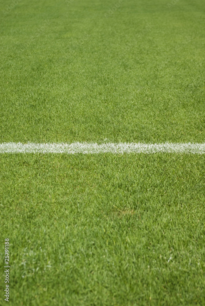 Obraz premium soccer field's line