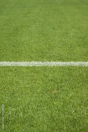 soccer field's line
