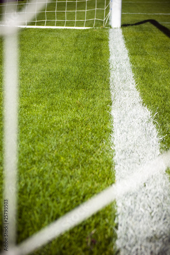 soccer field's line