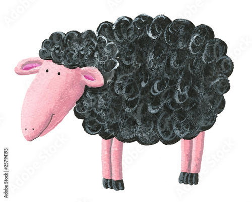 Cute black sheep