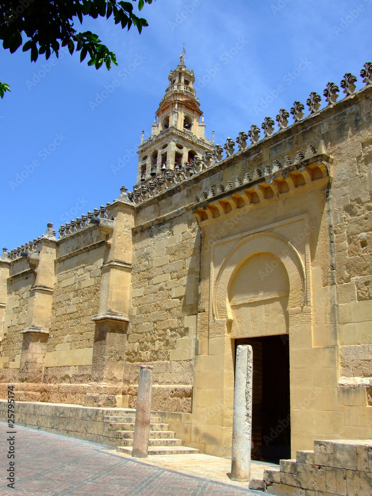 Obraz premium Doorway of Cordoba mosque