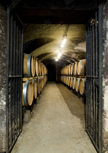 Fotografi wine cellar, Buxy, Burgundy, France
