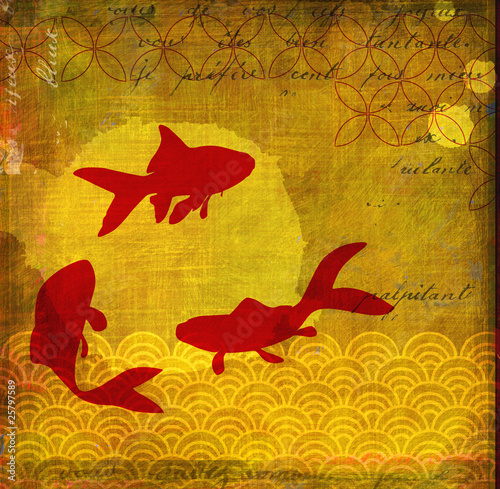 Photography 3 poissons rouges