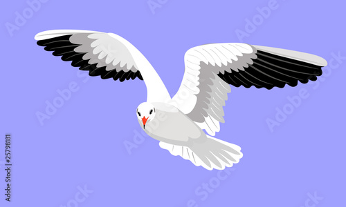 gull