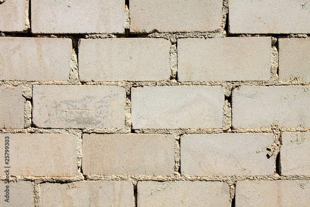 Fototapeta premium brick wall