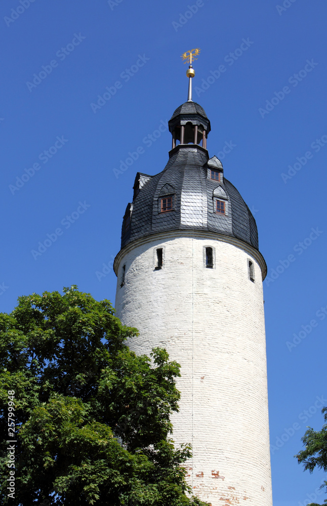 round tower of a castle and tree