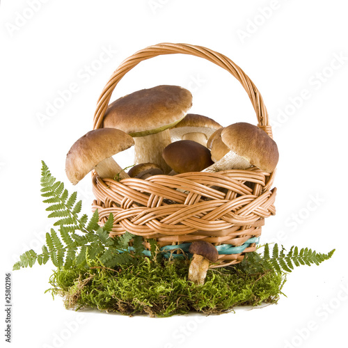 Boletus mushrooms in a basket photo