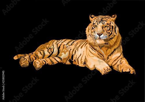 tiger
