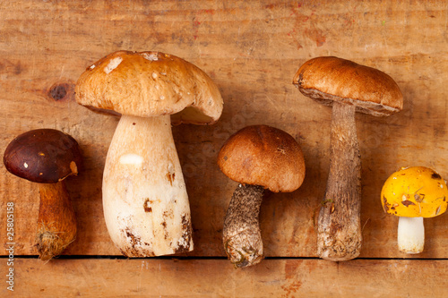 different sort of wild mushrooms on wooden box