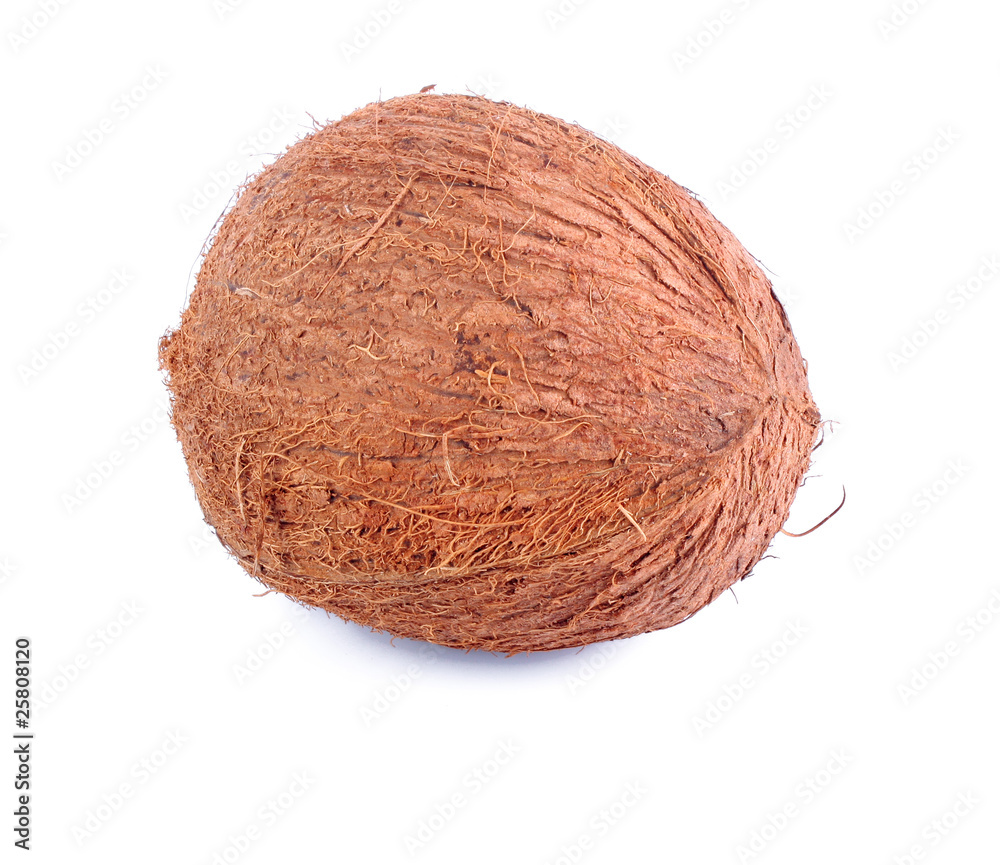 Coconut Coconut