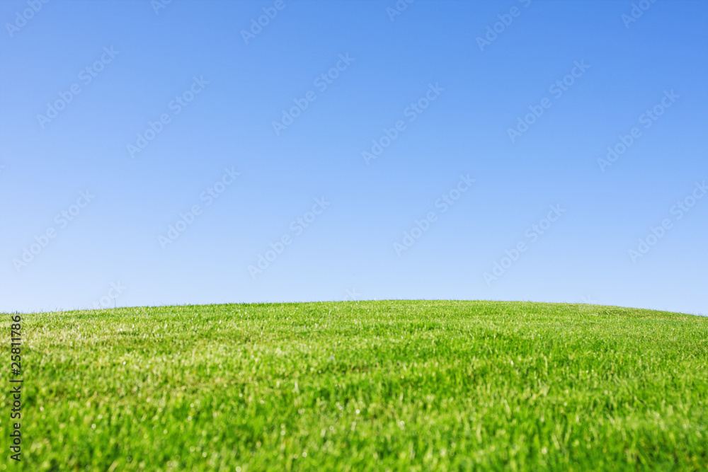 green field green field