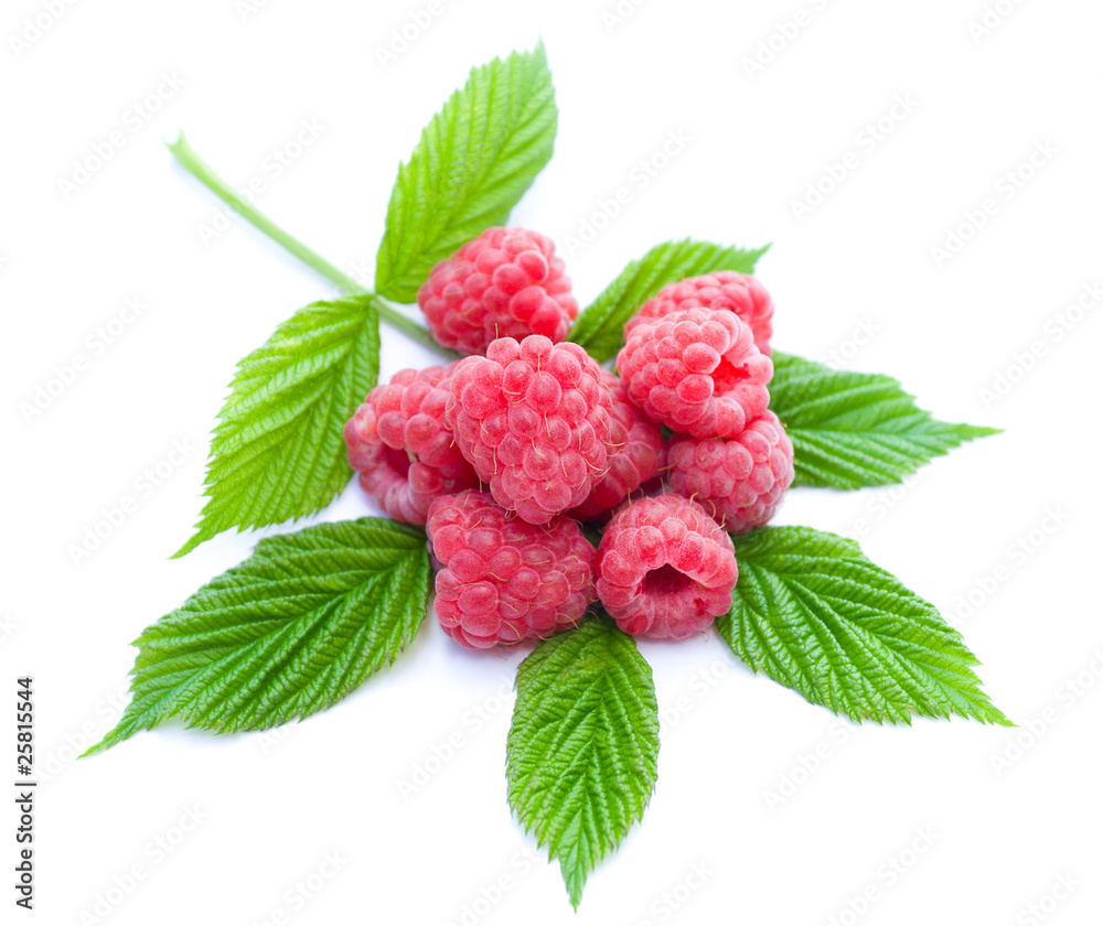 heap of ripe raspberries heap of ripe raspberries