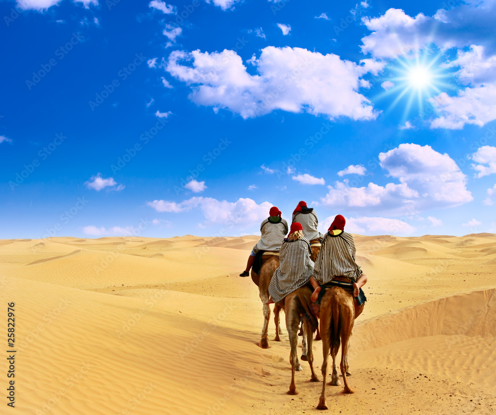 camel caravan in desert Sahara