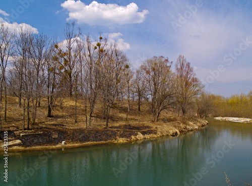 Landscape with the spring river