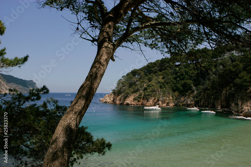 Aigua Blava on the Costa Brava located near Begur, Spain photo