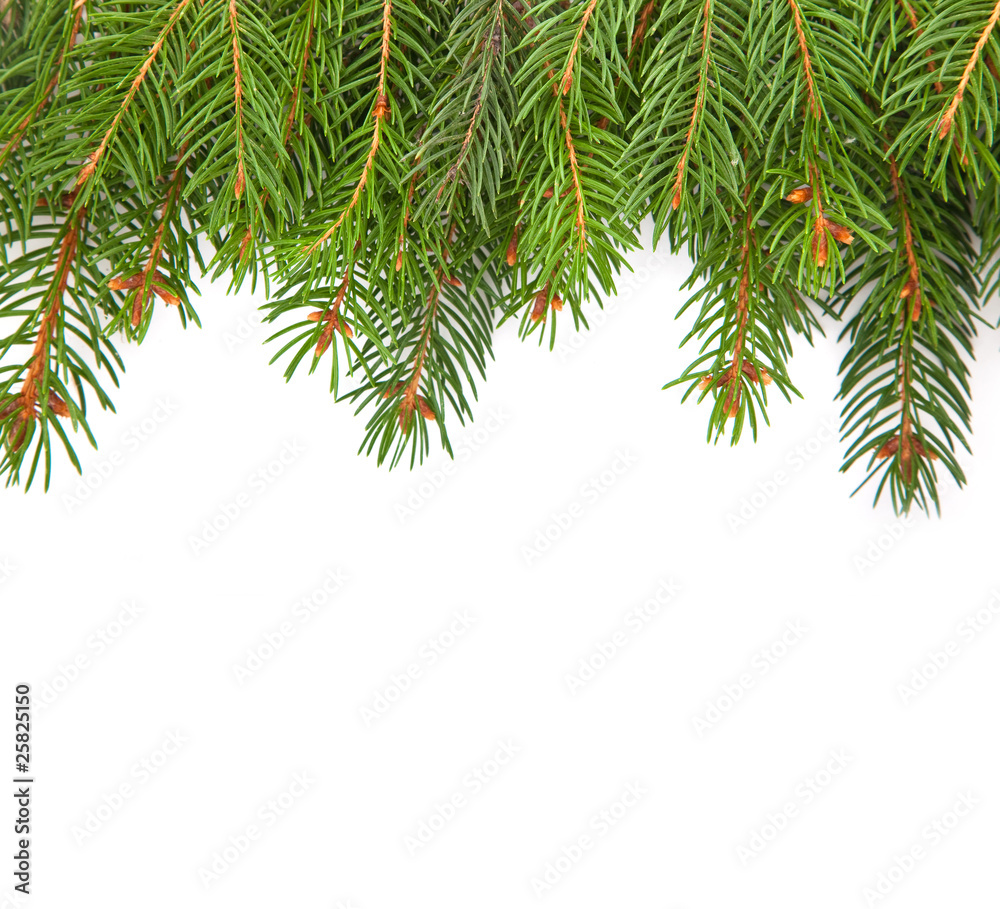 Christmas framework Christmas framework