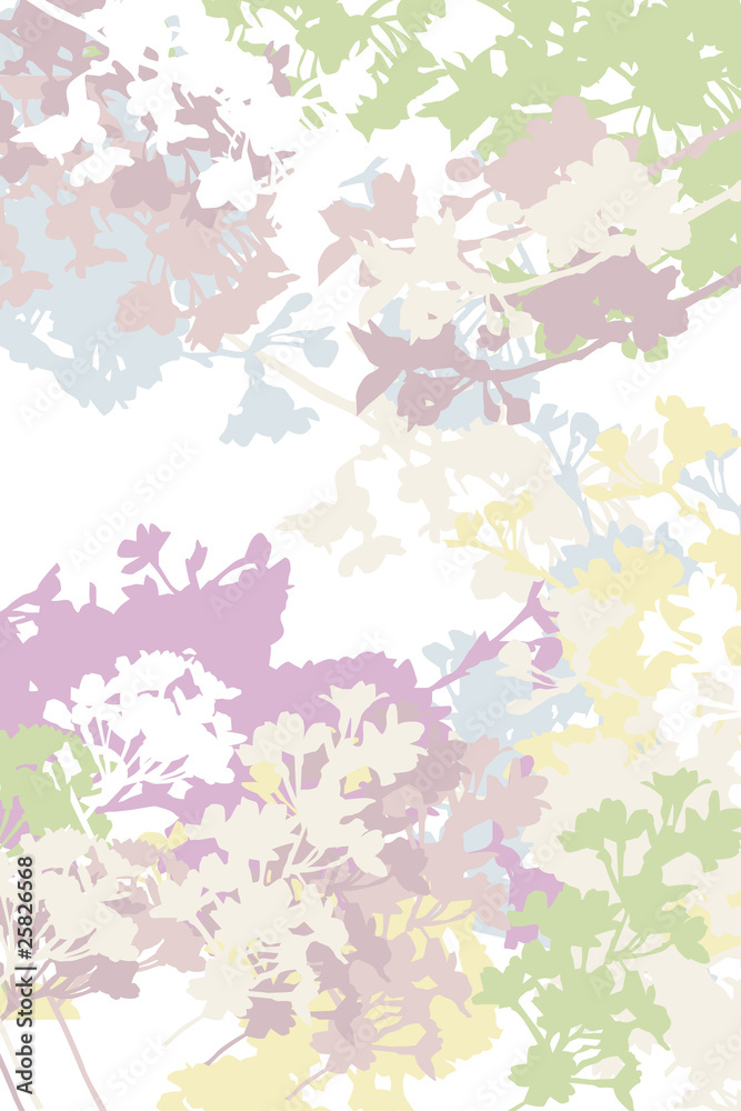 Obraz premium flower shower