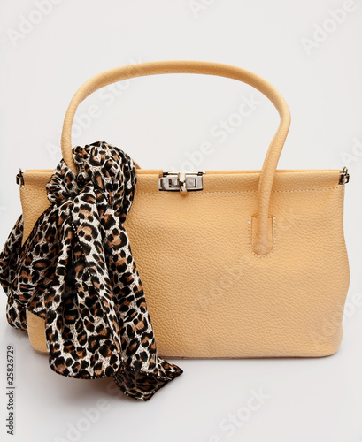 Sixties bag with leopard patterned scarf