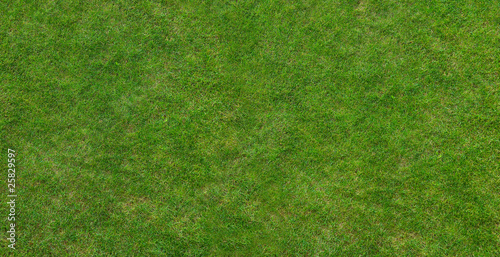 Canadian grass texture