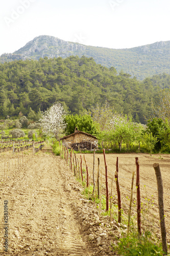 Kirazli farm house photo