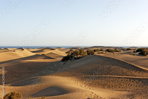 Maspalomas   Gran Canaria   Canary Islands   Spain