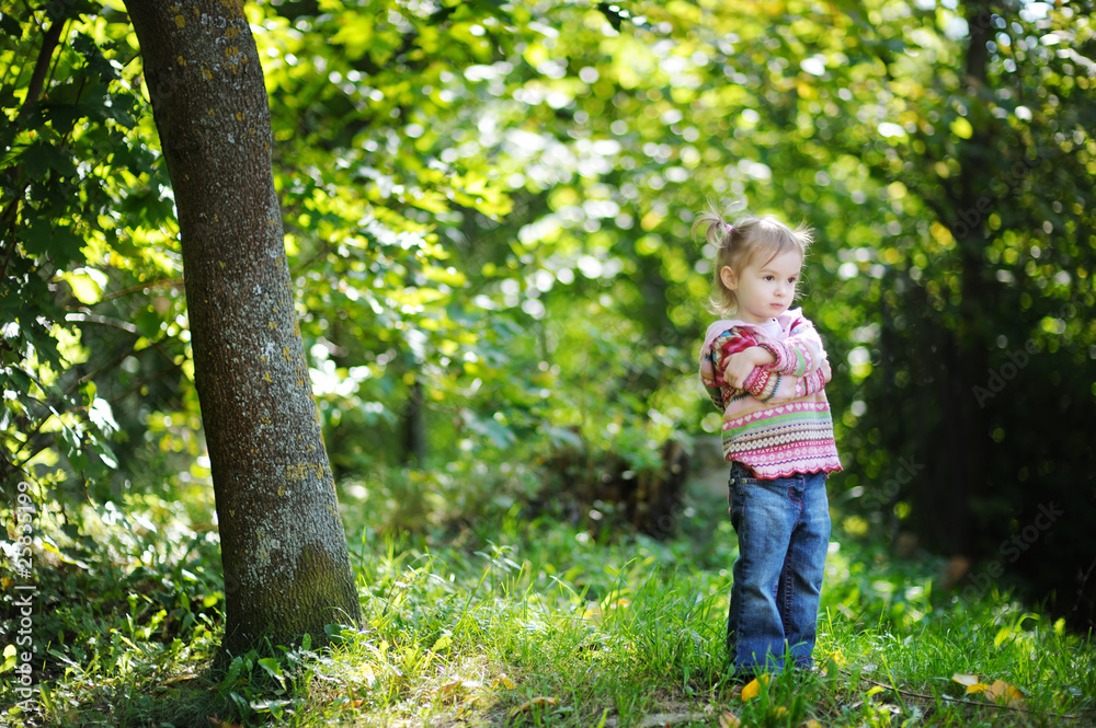 Adorable toddler in an autumn park Adorable toddler in an autumn park