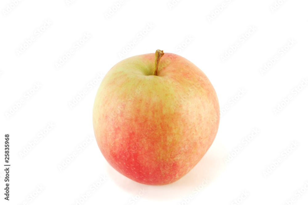 Apple Apple