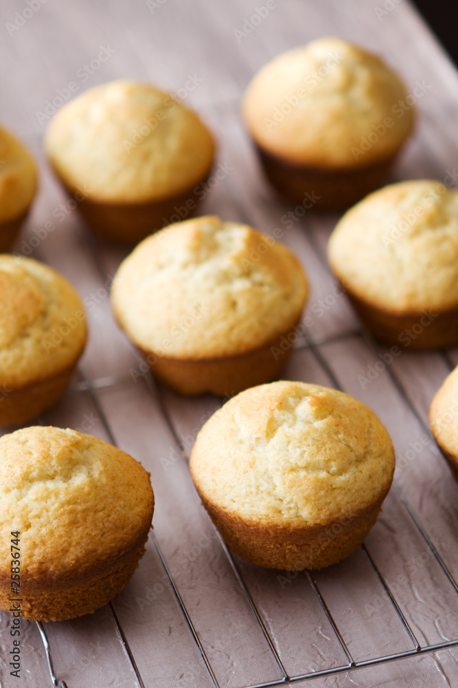 Freshly baked vanilla muffins on metal grid