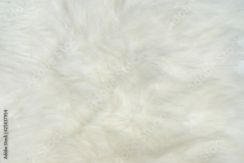 Closeup of white fur coat.