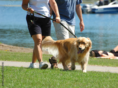 Walking the dog in the park