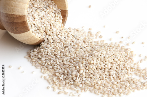 highland barley