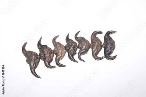 Foto caltrop