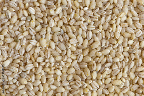 highland barley